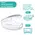 Chicco Πιπίλες Light PhysioForma Σίελ για 16-36m 2τεμ - Αξεσουάρ για Μωρά στο Pharmeden.gr