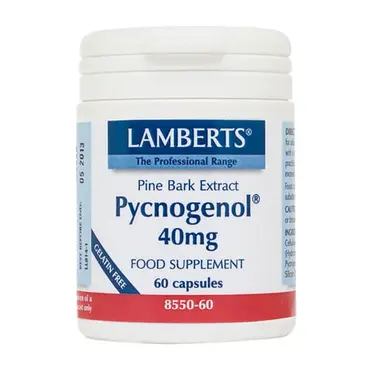 Lamberts Pycnogenol 40mg 60 caps - Συμπληρώματα Διατροφής στο Pharmeden.gr
