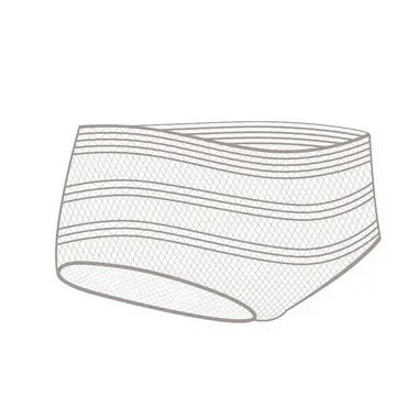 Chicco Disposable Post-Natal Stretch Mesh Briefs 4τμχ - Μαμά στο Pharmeden.gr