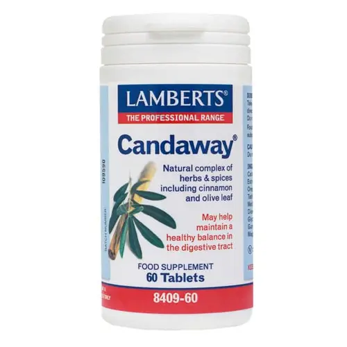 Lamberts Candaway 60 tabs - Συμπληρώματα Διατροφής στο Pharmeden.gr