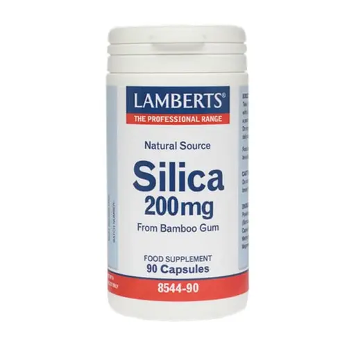 Lamberts Silica 90 caps - Συμπληρώματα Διατροφής στο Pharmeden.gr